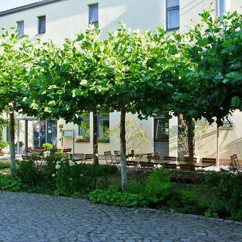 Innenhof-Biergarten-unter-Platanen.jpg